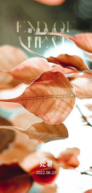 地产立秋微信图