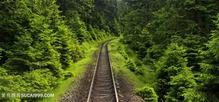 森林间的铁路