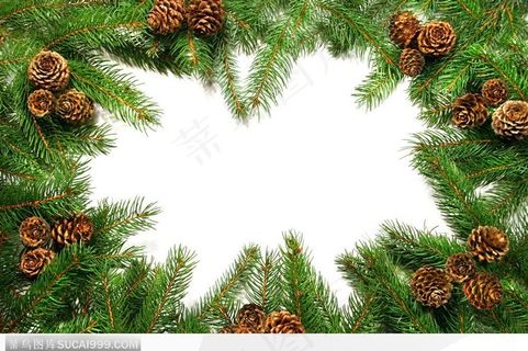 漂亮的圣诞边框