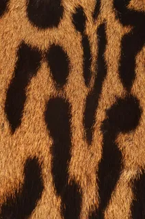 老虎毛笔纹理背景高清素材 老虎毛笔纹理背景高清素材