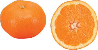 橘子免抠素材 (3)