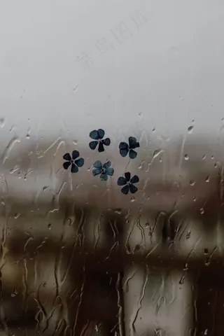雨中窗外风景