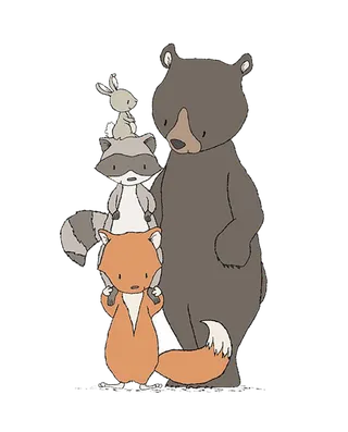 狐狸熊兔子兔年