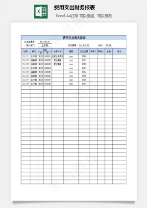 费用支出财务报表