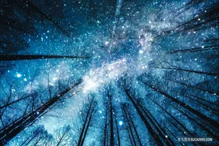 手绘梦幻仰视星空插画背景