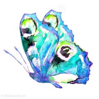 蝴蝶绘画高清图