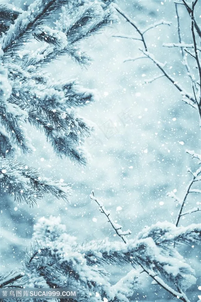 大雪 风景 背景