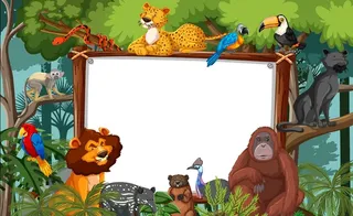 板模板与野生动物在动物园