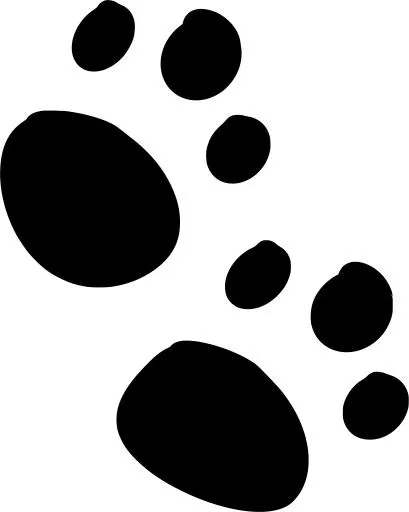 爪子 PNG免抠(818x1024)