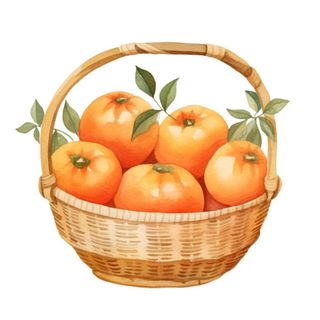 一篮橘子水果插画免抠