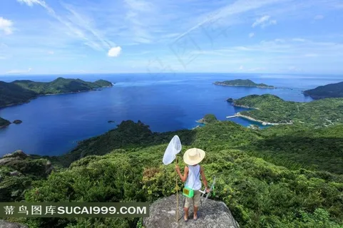 眺望大自然风景