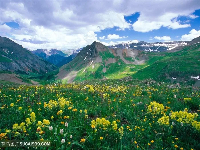 山脉草地美景壁纸