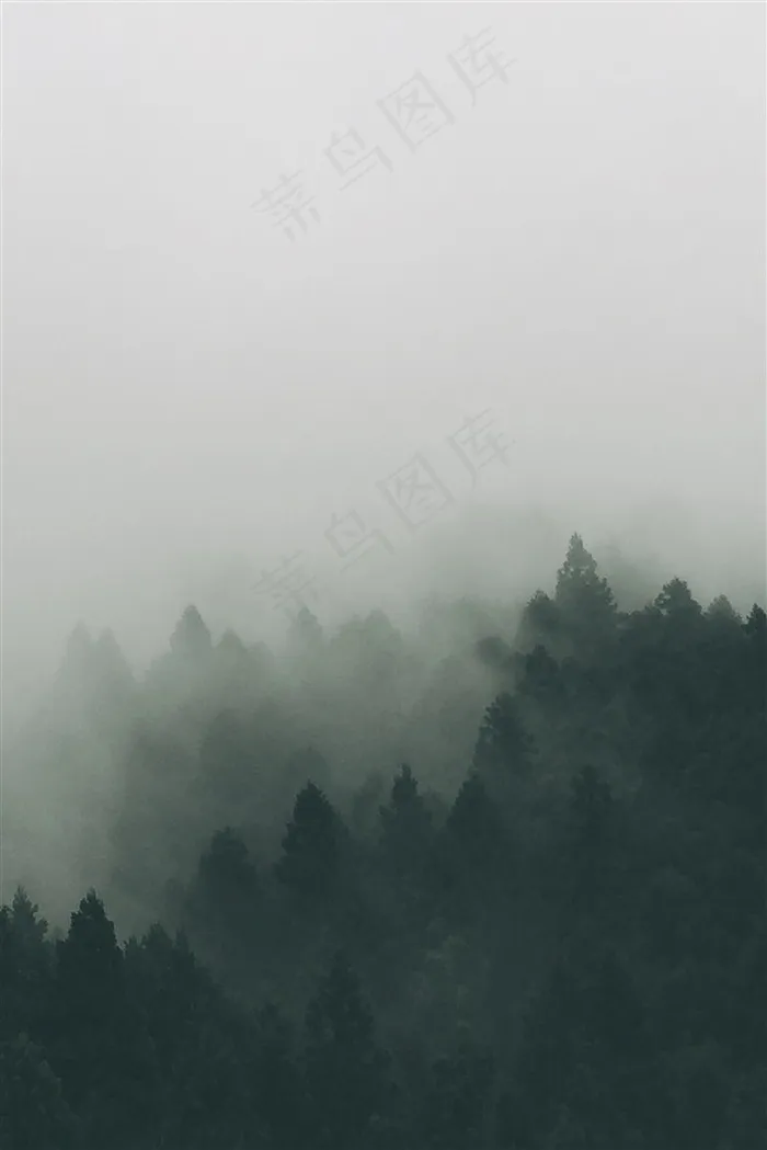 山林中的雾素材摄影图片