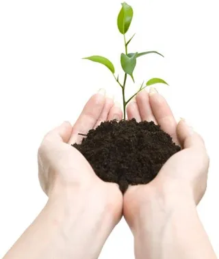 手中的泥土 PNG免抠