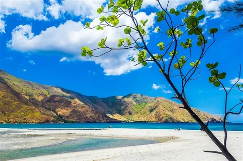 晴朗的海边图片 晴朗的海边图片