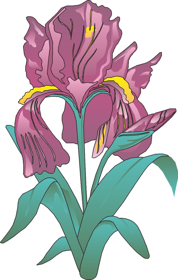 卡通动漫动画鲜花花草海报名片免扣图片素材矢量图