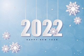 2022创意艺术字体新年虎年圣诞节数字立体质感文字AI矢量设计素材