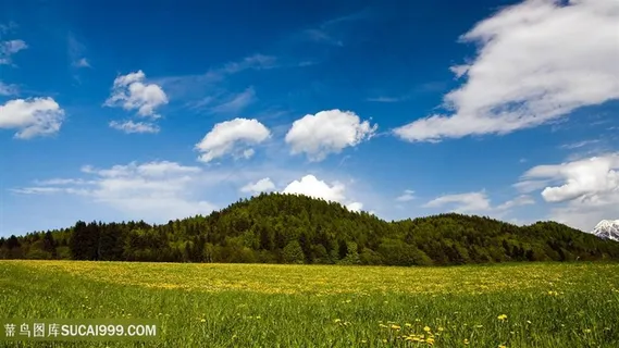 花圃草地山脉风景画