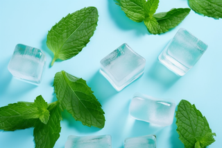 :一张照片是浅蓝色背景下的几个方形冰块和绿色薄荷叶