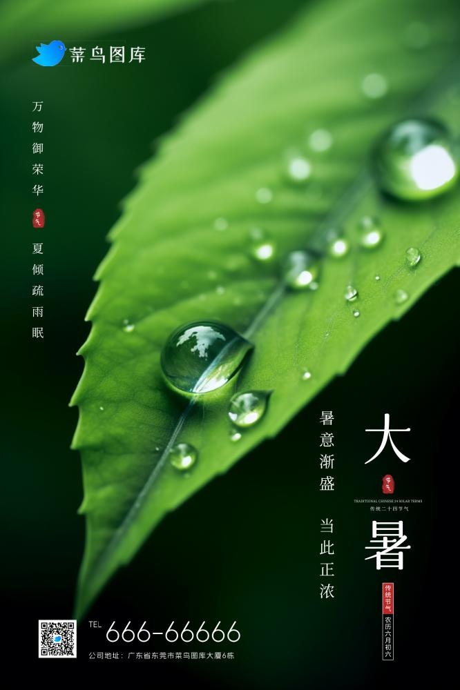 大暑清新绿色水滴树叶简约节气海报