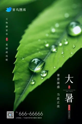 大暑清新绿色水滴树叶简约节气海报
