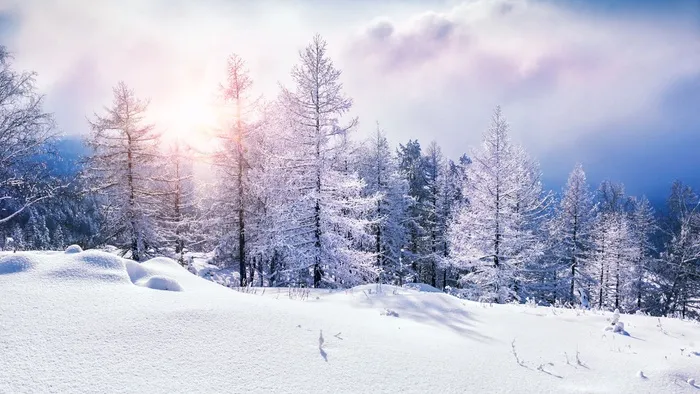 高清雪山雪景树木