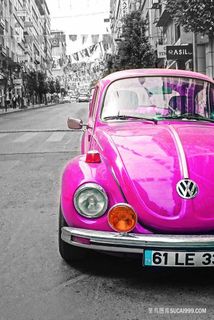 唯美大众汽车风景画