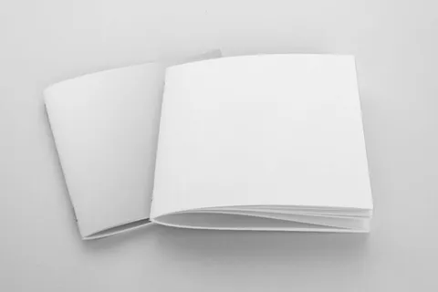 产品画册提案效果样机模板