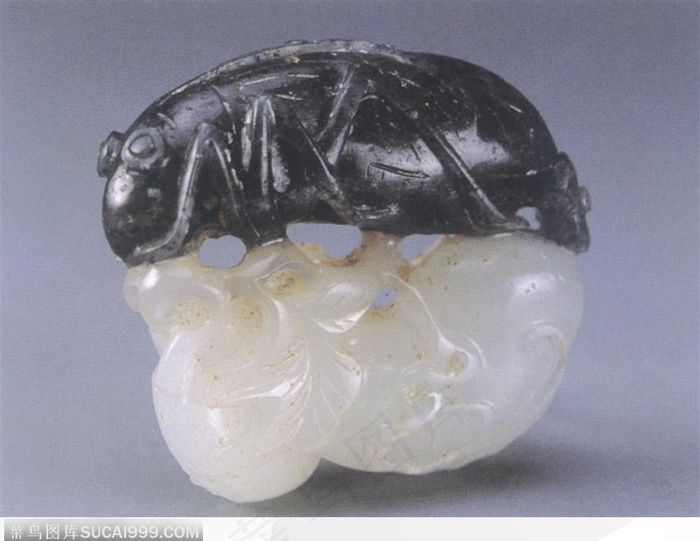 传统工艺-黑色的知了玉器