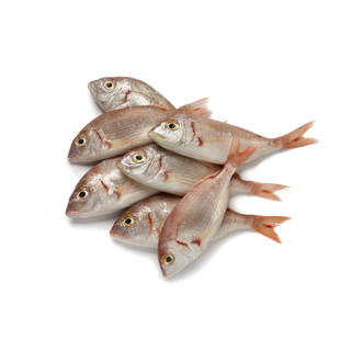 鱼类(66)海鲜超市商品红酒白底图免抠实物摄影png格式图片透明底