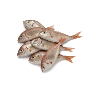 鱼类(66)海鲜超市商品红酒白底图免抠实物摄影png格式图片透明底