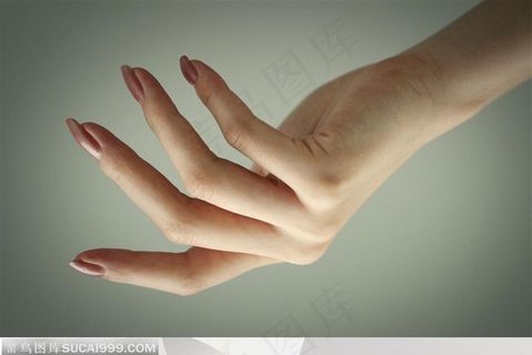 手势-修长的手