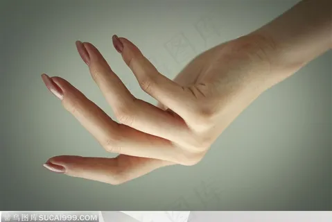 手势-修长的手 手势-修长的手
