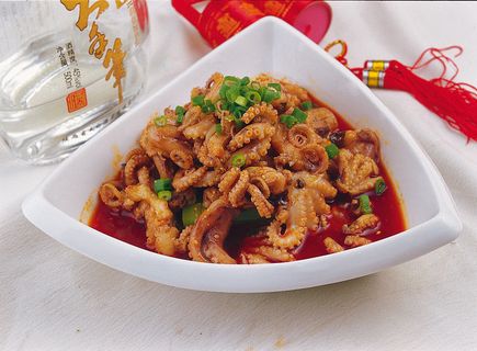 RCS-4006红汤八爪鱼