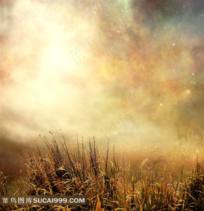 梦幻唯美金色星空