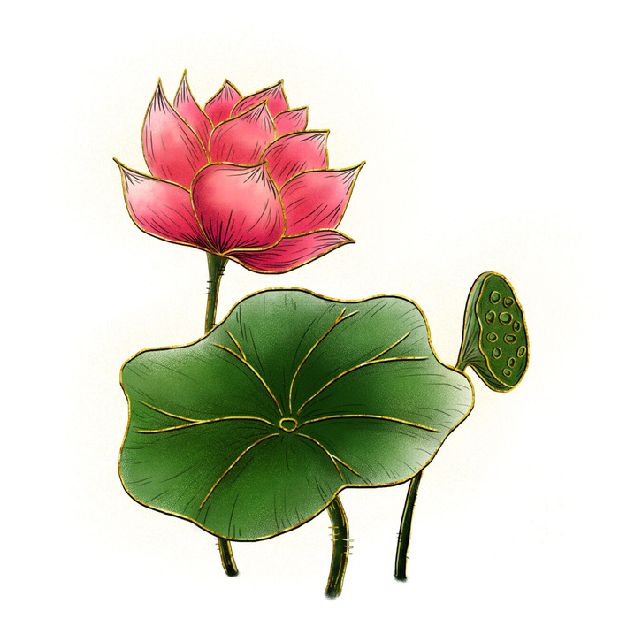 国潮中国风手绘荷花莲花荷叶莲藕植物花卉装饰插画PSD设计素材psd模版下载