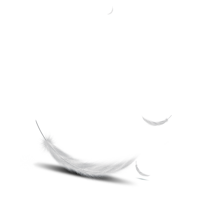 羽毛简笔轻飘飘