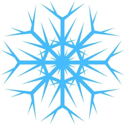 雪花 PNG免抠(894x894)