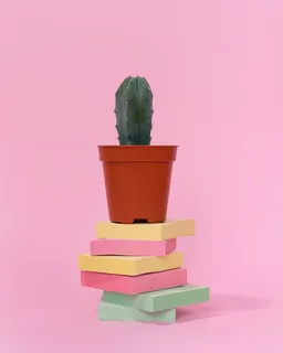 绿色仙人掌仙人球摄影素材