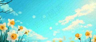 春日草地鲜花清新郊外草坪蓝天白云，春分