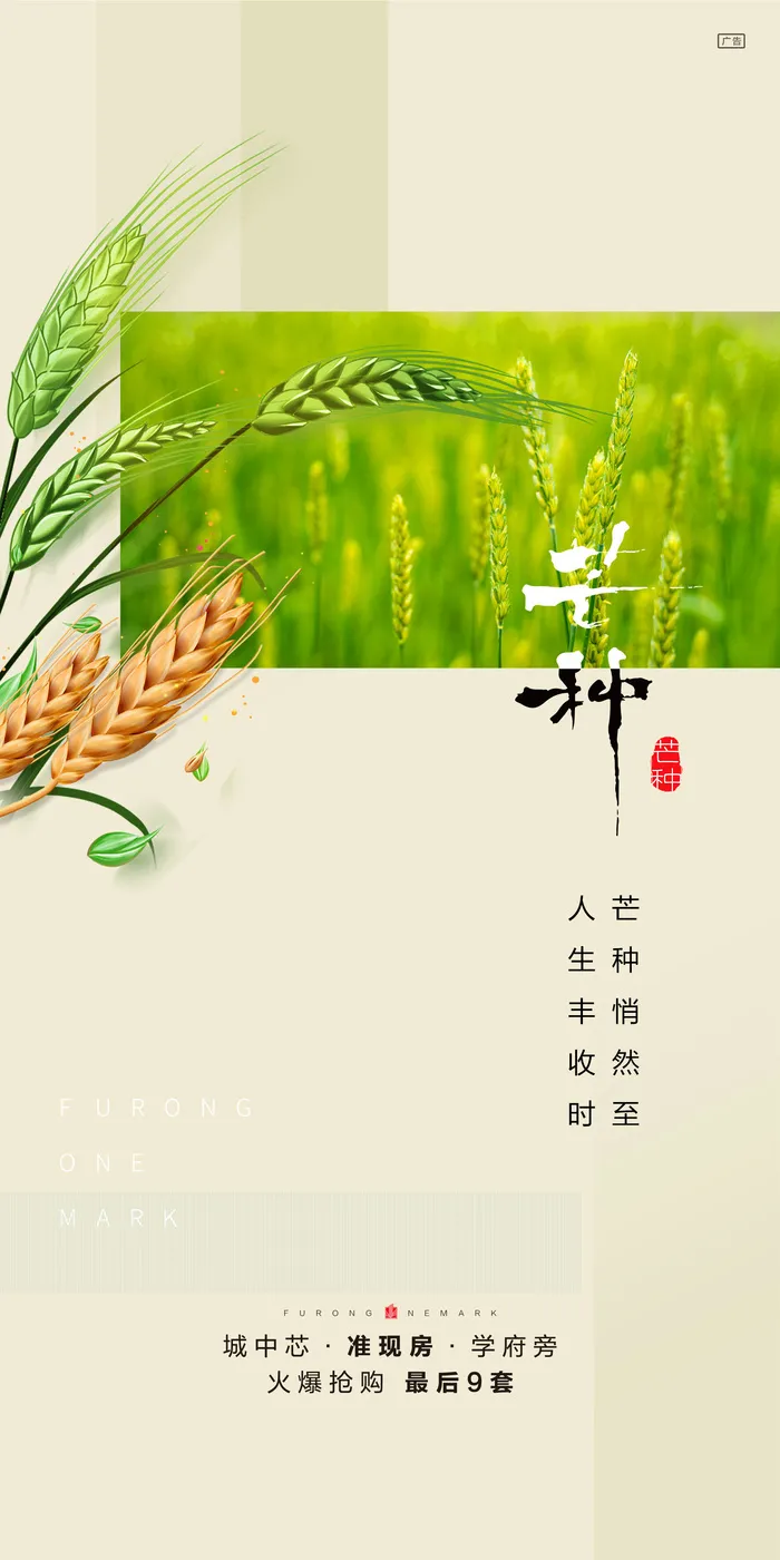 中国传统24节气芒种微信宣传海报psd模版下载