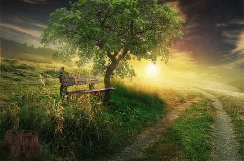 黄昏中的荒野路径高清图片