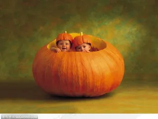 在南瓜里的婴儿图片素材