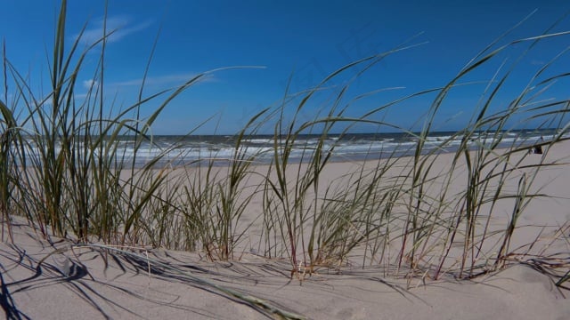 海滩, 波浪, 夏天, 海岸, 沙丘, 草, 海, 云