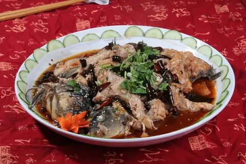 11乐山巴鲶鱼 乐山坊