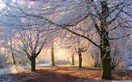 冬天落日雪景高清摄影 冬天落日雪景高清摄影