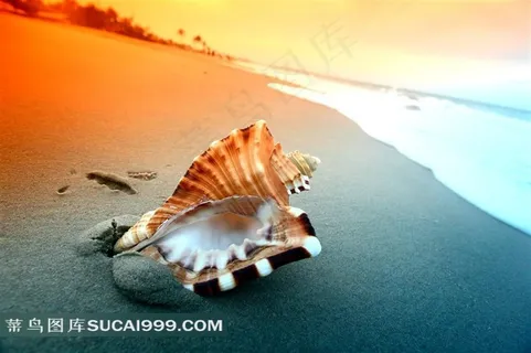 高清海边沙滩风景图片