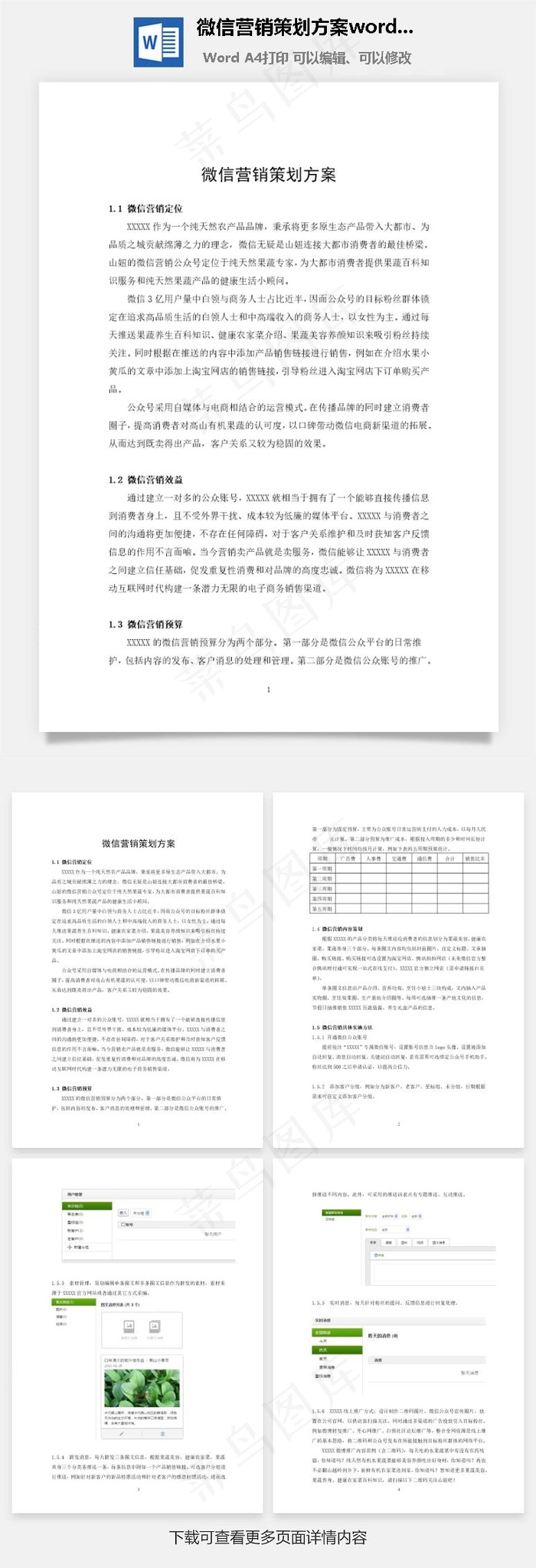 微信营销策划方案word文档