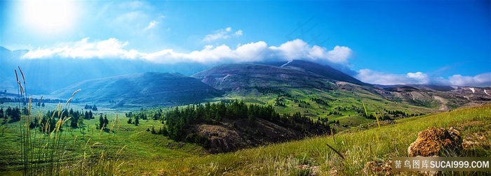 草地远山风景图片