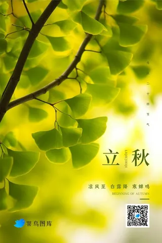 立秋简约唯美银杏叶绿色清新节气海报